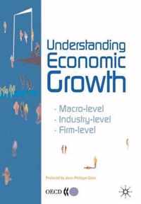 Understanding Economic Growth