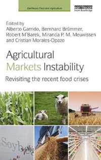 Agricultural Markets Instability: Revisiting the Recent Food Crises