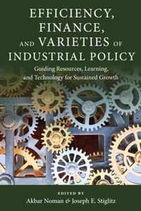 Efficiency, Finance, and Varieties of Industrial Policy