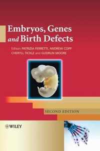 Embryos, Genes And Birth Defects