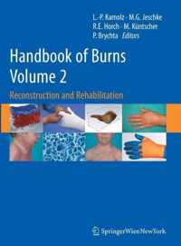 Handbook of Burns Volume 2