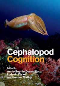 Cephalopod Cognition