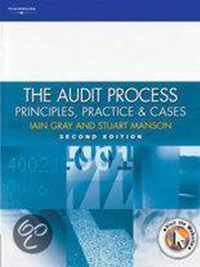 The Audit Process