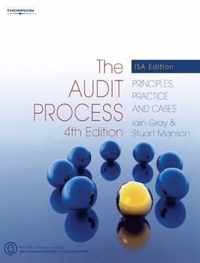 The Audit Process