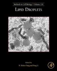 Lipid Droplets