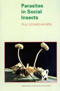 Parasites In Social Insects
