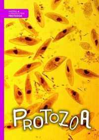 Protozoa