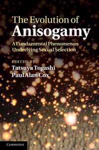 The Evolution of Anisogamy