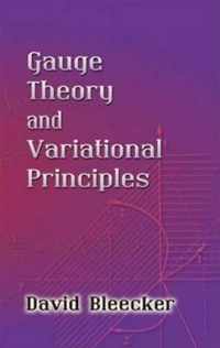 Gauge Theory and Variational Principles