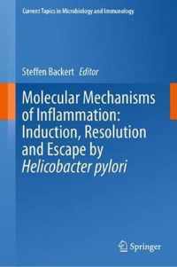 Molecular Mechanisms of Inflammation: Induction, Resolution and Escape by Helicobacter Pylori