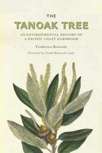 The Tanoak Tree