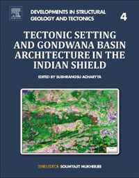 Tectonic Setting and Gondwana Basin Architecture in the Indian Shield