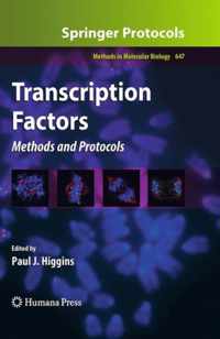 Transcription Factors