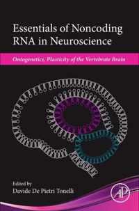 Essentials of Noncoding RNA in Neuroscience