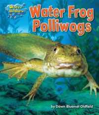 Water Frog Polliwogs