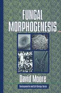 Fungal Morphogenesis