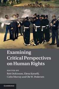 Examining Critical Perspectives On Human Rights