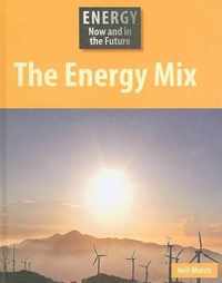 The Energy Mix