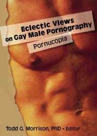 Eclectic Views on Gay Male Pornography