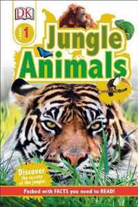 Jungle Animals