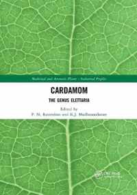 Cardamom