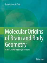 Molecular Origins of Brain and Body Geometry