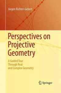 Perspectives on Projective Geometry