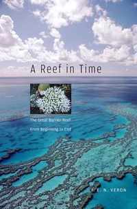 A Reef in Time