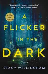 A Flicker in the Dark