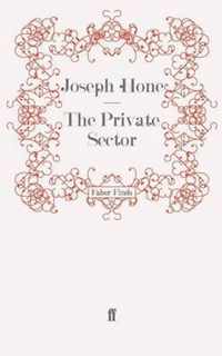 The Private Sector