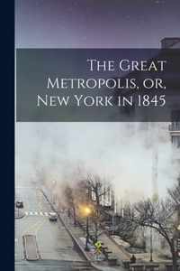 The Great Metropolis, or, New York in 1845