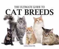 The Ultimate Guide to Cat Breeds