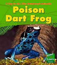 Poison Dart Frog