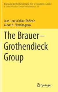 The Brauer-Grothendieck Group