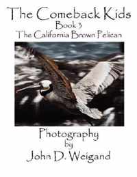 The Comeback Kids, Book 3, the California Brown Pelican