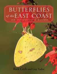 Butterflies of the East Coast