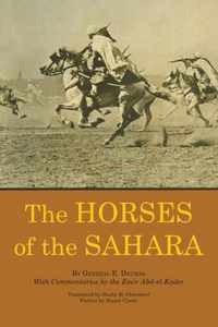 The Horses of the Sahara