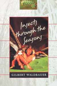 Insects through the Seasons