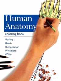 Human Anatomy Coloring Book