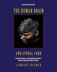 The Human Brain and Spinal Cord