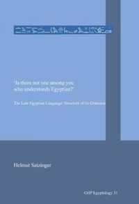 Is there not one among you who understands Egyptian?: he Late Egyptian Language