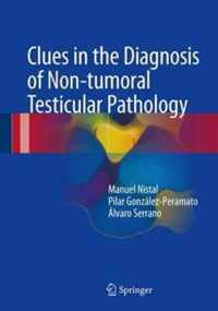 Clues in the Diagnosis of Non-tumoral Testicular Pathology