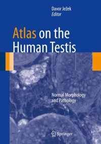 Atlas on the Human Testis