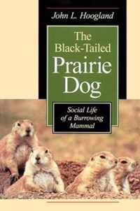 The Black-Tailed Prairie Dog