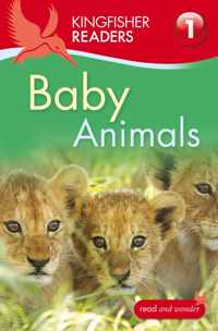 Kingfisher Readers: Baby Animals (Level 1: Beginning To Read