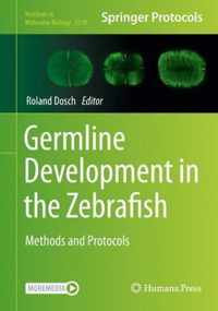 Germline Development in the Zebrafish