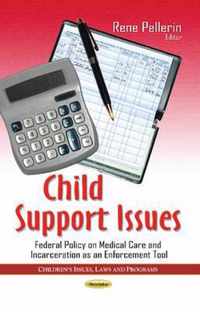 Child Support Issues