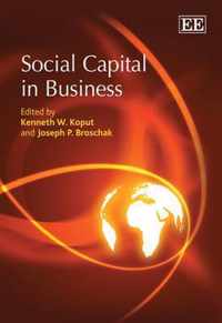 Social Capital in Business