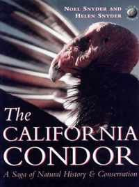 The California Condor