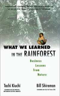 What We Learned in the Rainforest